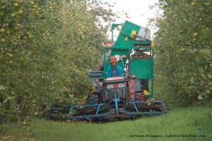 La machine à récolter les pommes 