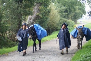 Cape de pluie et bâche sur les ânes