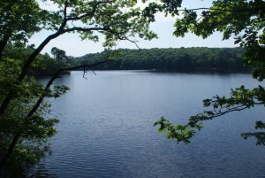 Le lac de Guerlédant - Gîte de Ty Kalon Breizh